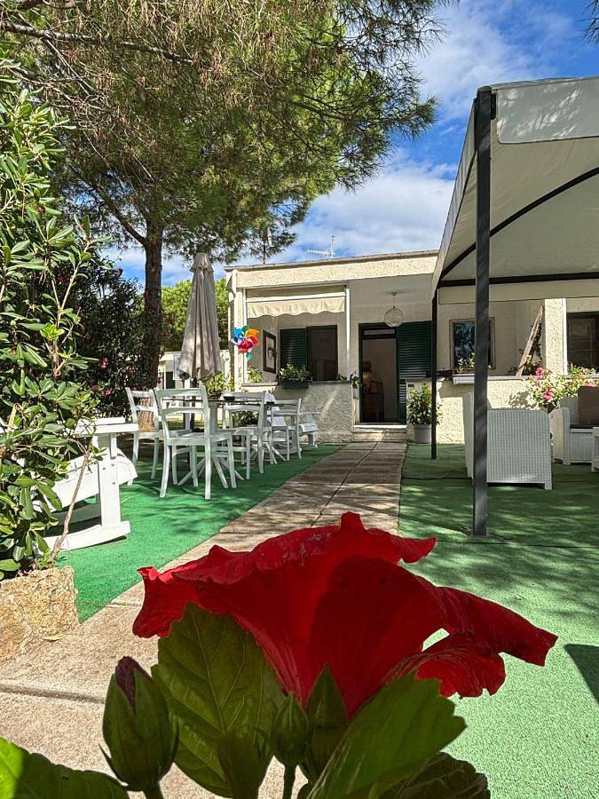 Ferienhaus für 4 Personen, mit Pool und Ausblick sowie Garten, mit Haustier