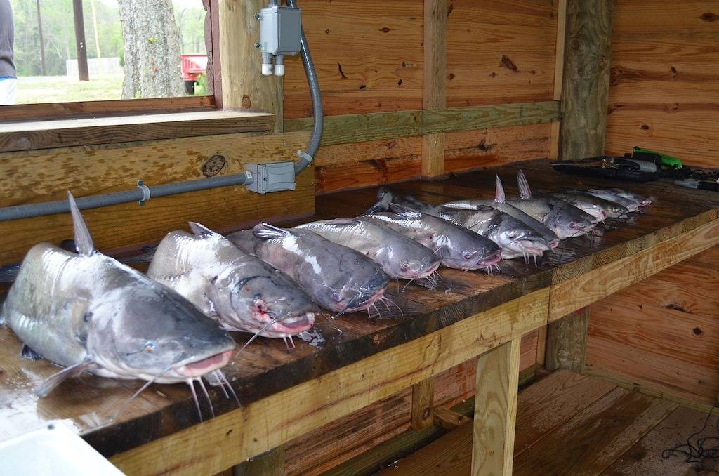 Luxuriöse Waterfront Lodge mit Heimkino und Bootsverleih! in Toledo Bend Reservoir