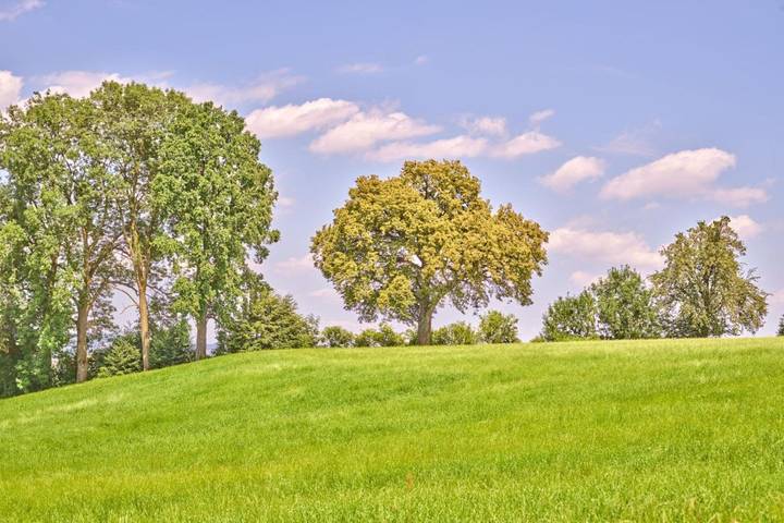 Ferienhaus für 2 Personen, mit Terrasse und Garten in Bayern - 2