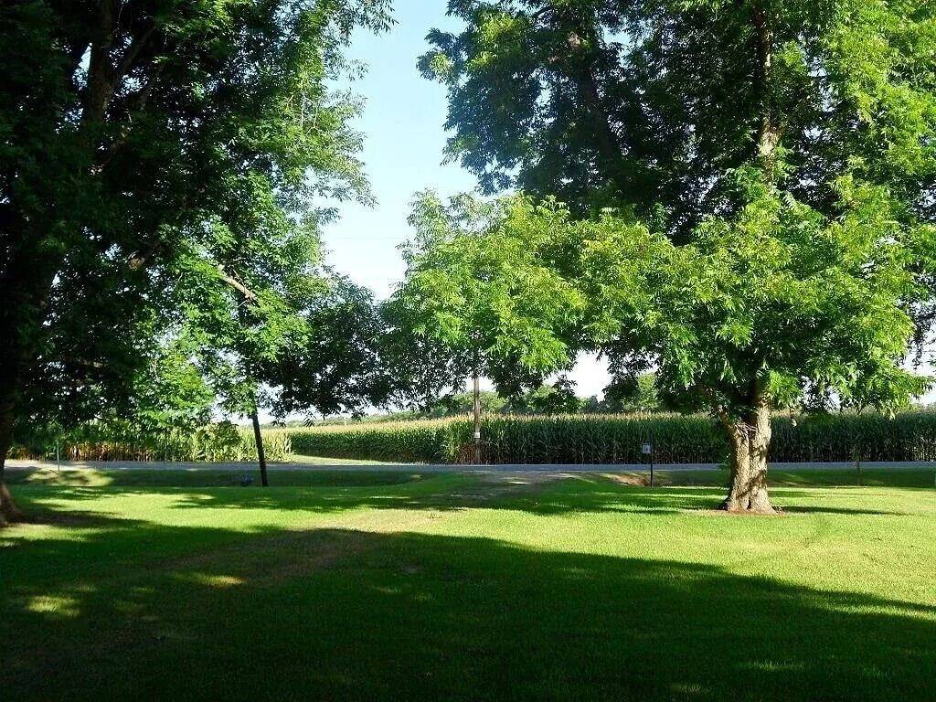 Quiet Waterfront Lakehouse with pier. Kid friendly. Natchez close by. in Concordia Parish