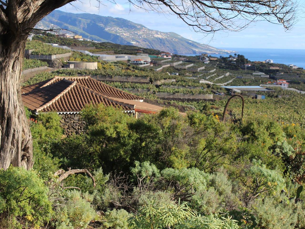 In Monte Breñas mit Grill, Terrasse und Garten in Monte de Breña, Villa de Mazo