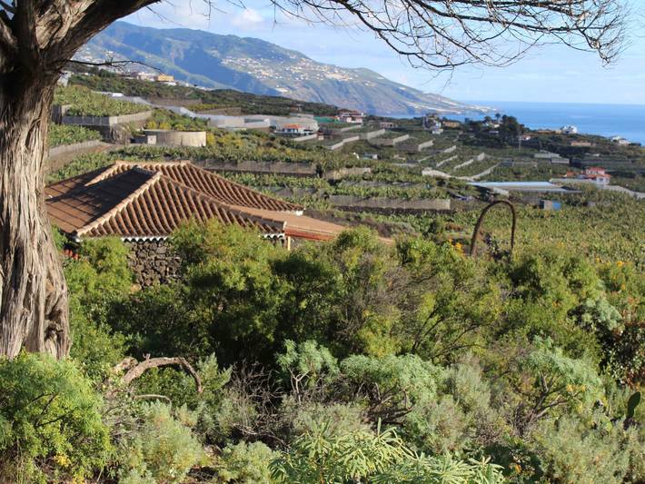 Casa de vacaciones para 2 personas, con jardín en La Palma - 4