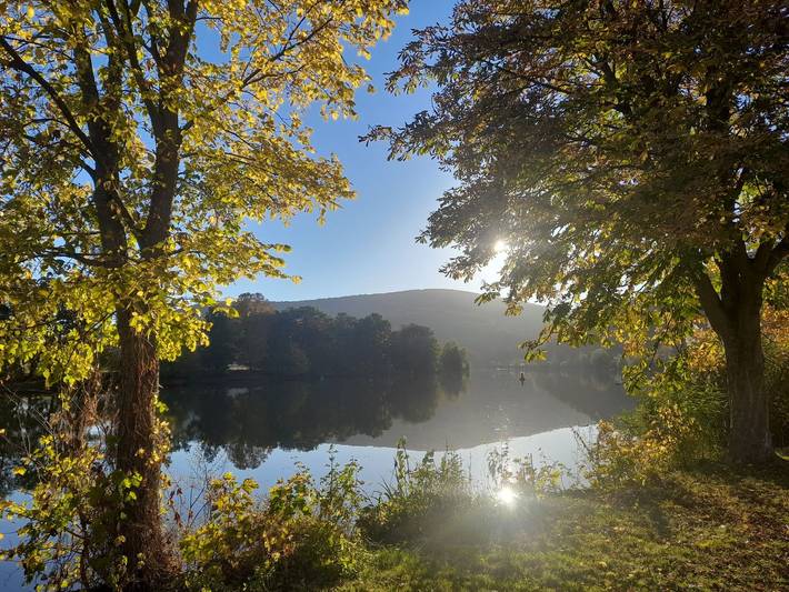 Ferienhaus für 3 Personen, mit Terrasse im Spessart - 4