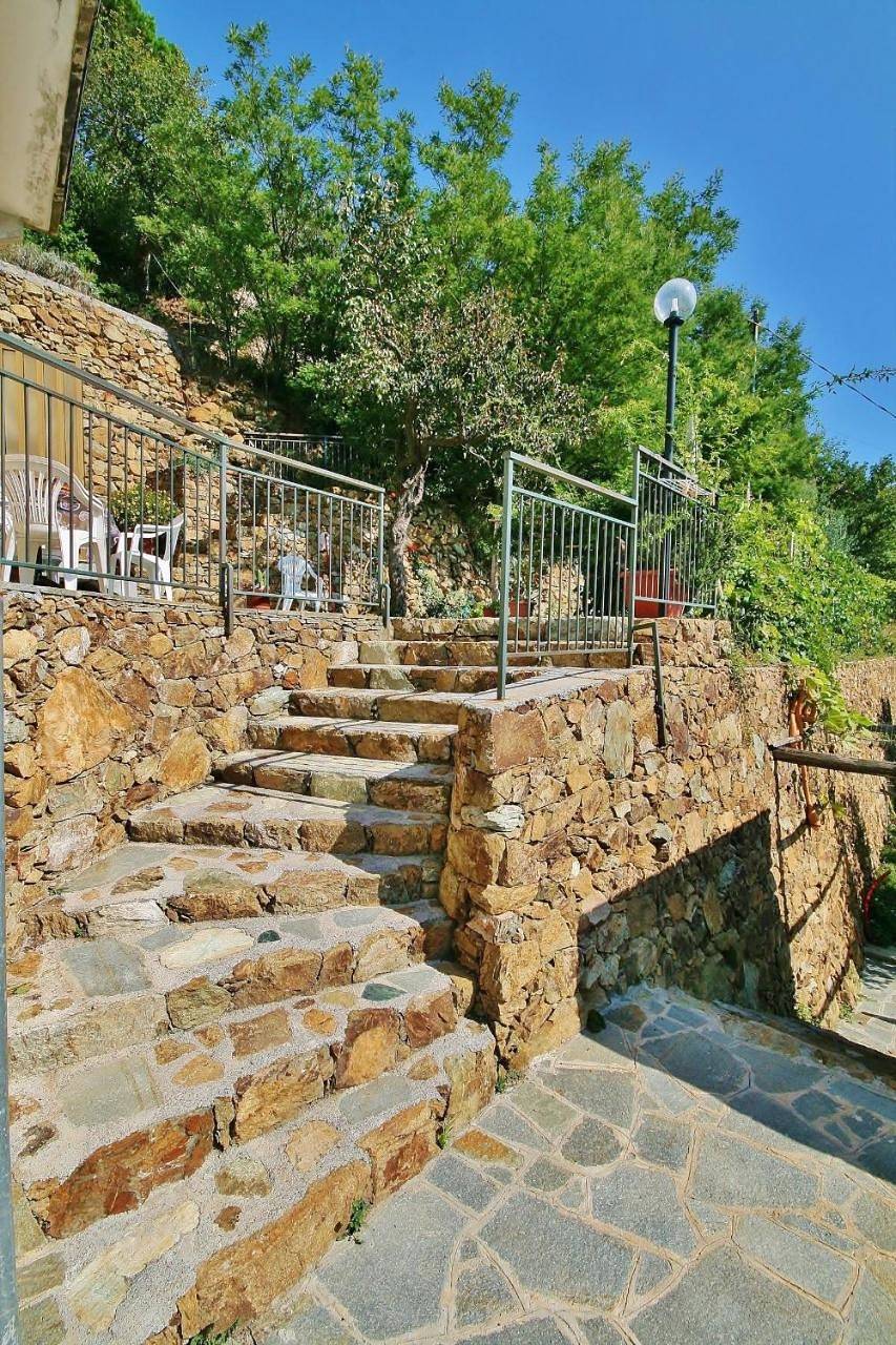 Agriturismo Costamagna in Tosse (Noli), Noli