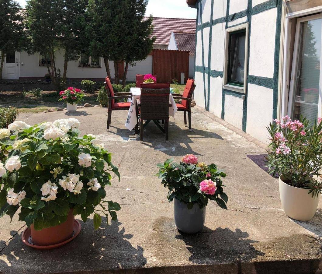 Appartement entier, Ferienwohnung,Haus Elisa 1 in Stendal, Altmark