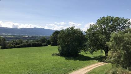 Maison De Vacances pour 5 Personnes dans Ruffieu, Jura Francais, Photo 1