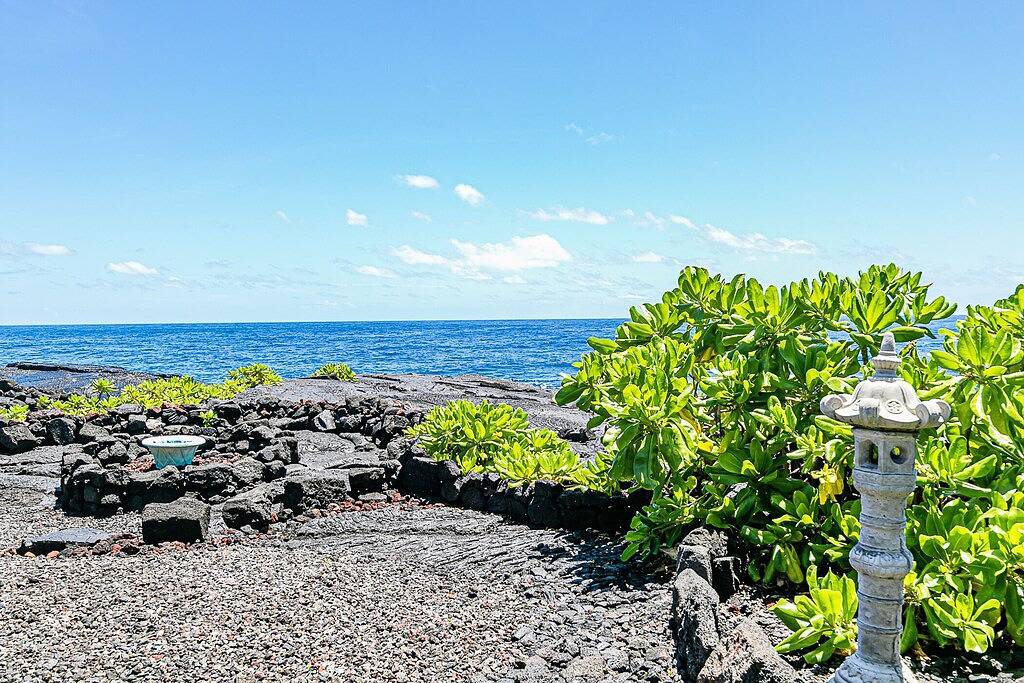 Absolute Oceanfront on Ancient Lava Cliffs! Whales, dolphins, turtles! in Hawaiian Paradise Park, East Puna