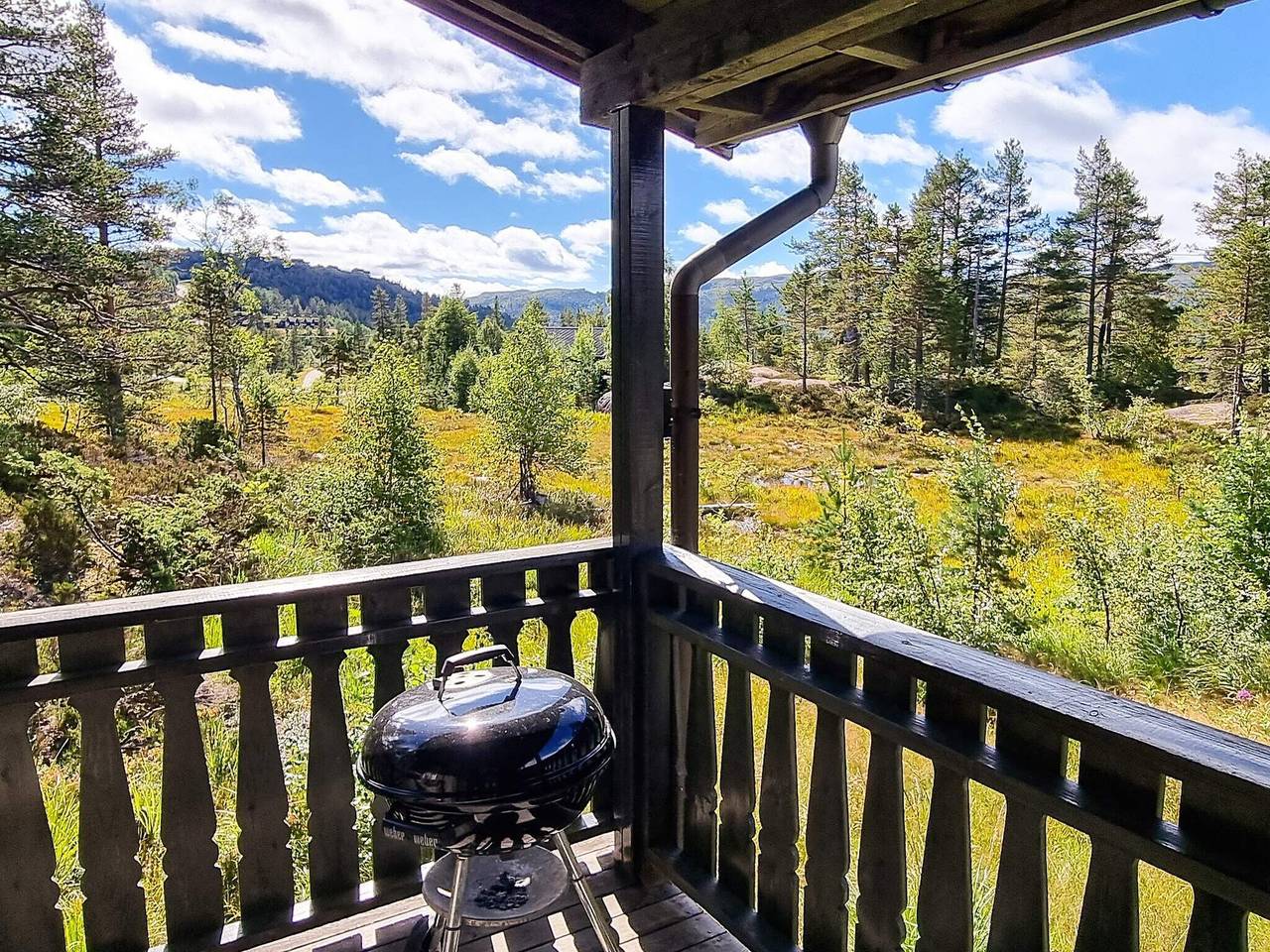 6 person ferie hjemme i Åseral in Bortelid, Åseral