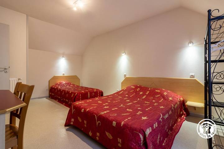 Gîte pour 5 personnes, avec terrasse, animaux acceptés à Vignec - 4