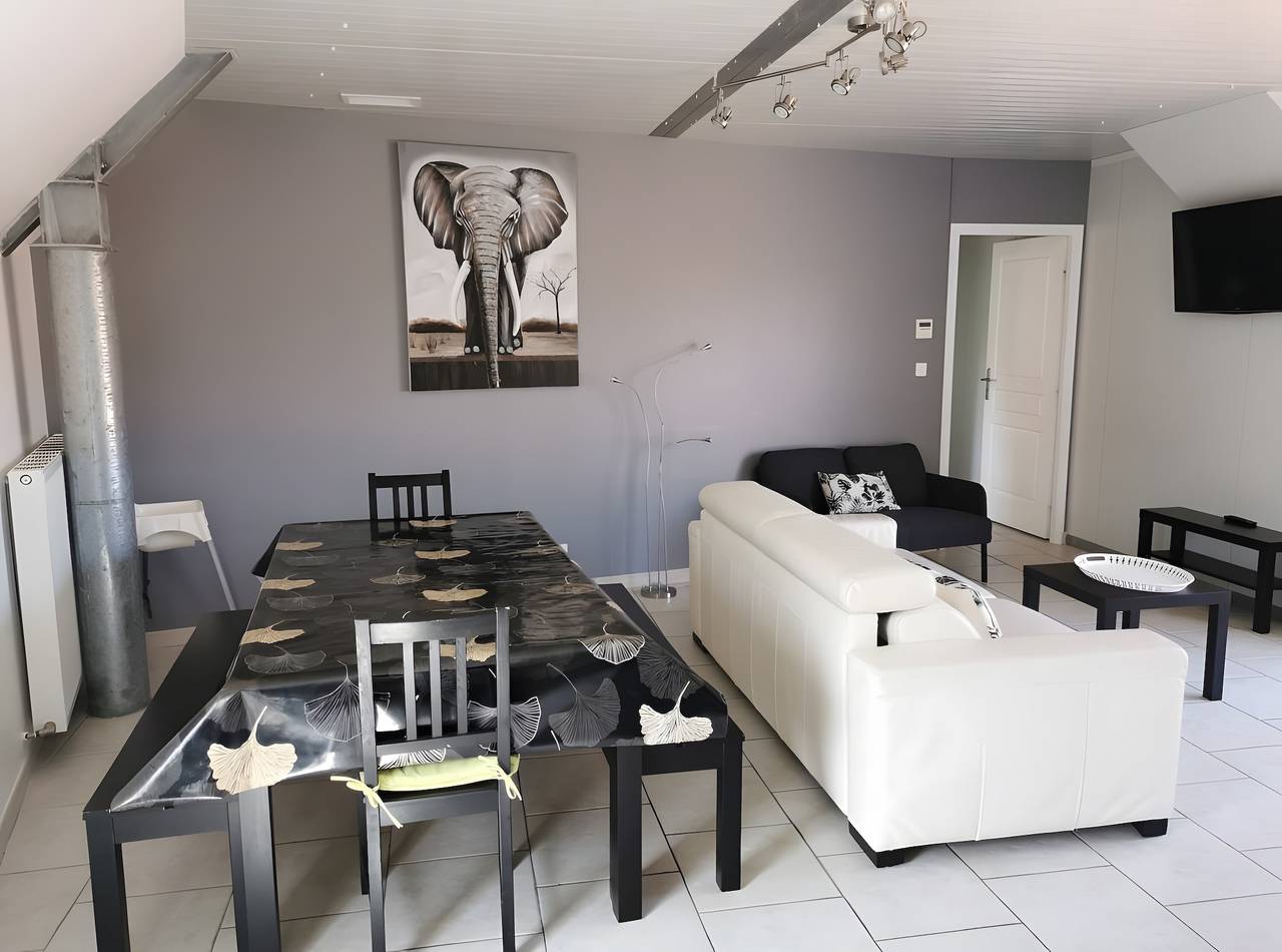 Appartement entier, Gîte l'Aérostier 5p - Le Petit Villeneuve in Saint-Georges-sur-Cher, Région de Blois