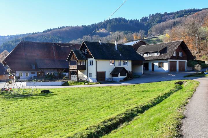 Gîte pour 4 personnes, avec balcon à Steinach