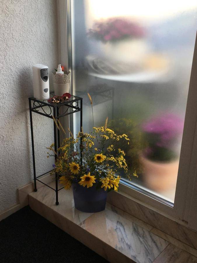 Ganze Wohnung, Wanderlust in Bisingen, Neckar-Alb
