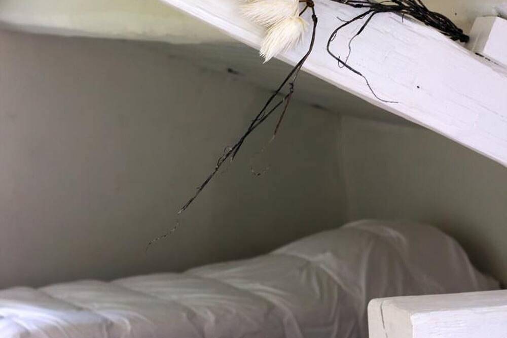 Geräumige Ferienhäuser mit privatem Pool, Sauna, Haustiere erlaubt und Parkplatz, bis zu 18 Personen in Vivans, Roanne und Umgebung