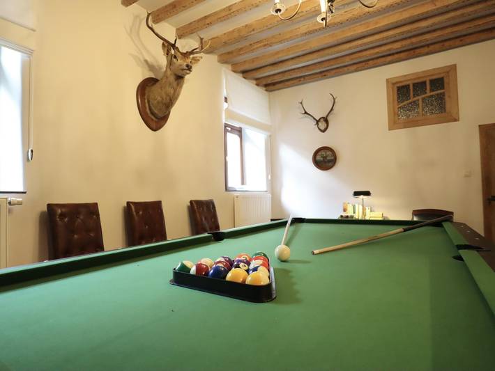 Location de vacances pour 24 personnes, avec piscine et sauna ainsi que jardin et jacuzzi, animaux acceptés à Tellin - 4