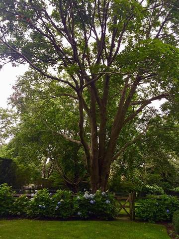 Vacation Home for 8 Guests in Noyack, North Fork, Picture 4