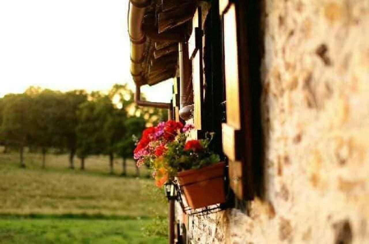 Double Room with Private Bathroom in Bussière-Poitevine, Région de Bellac