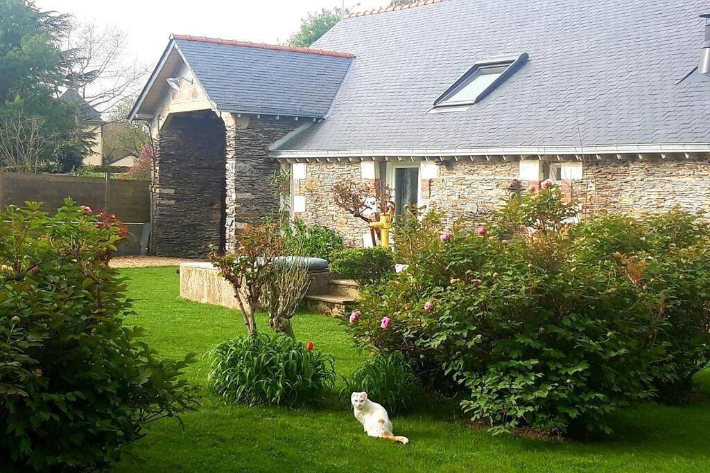 Entre Loire et Vignes in Juigné-sur-Loire, Vallée de la Loire