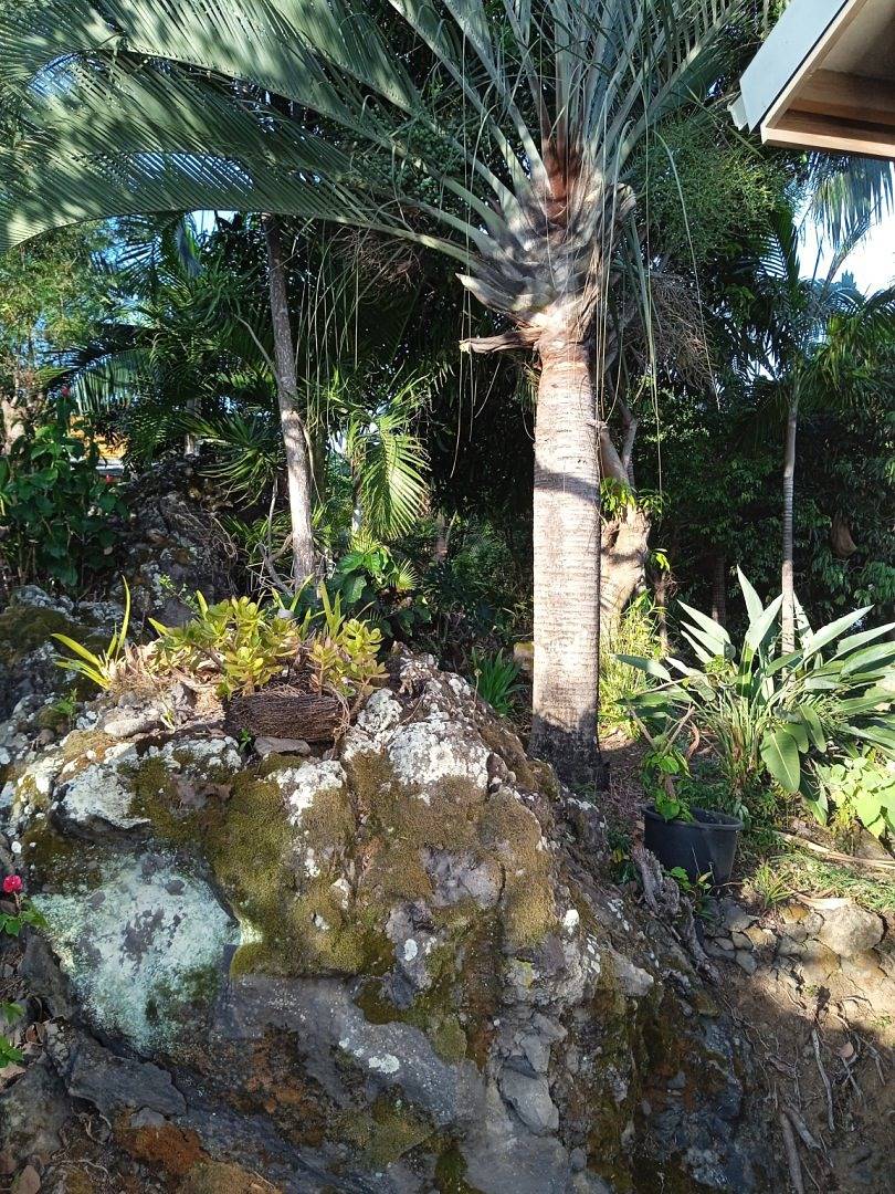 Instant Kréol - vue Océan in Saint-Louis (Réunion), Île de la Réunion