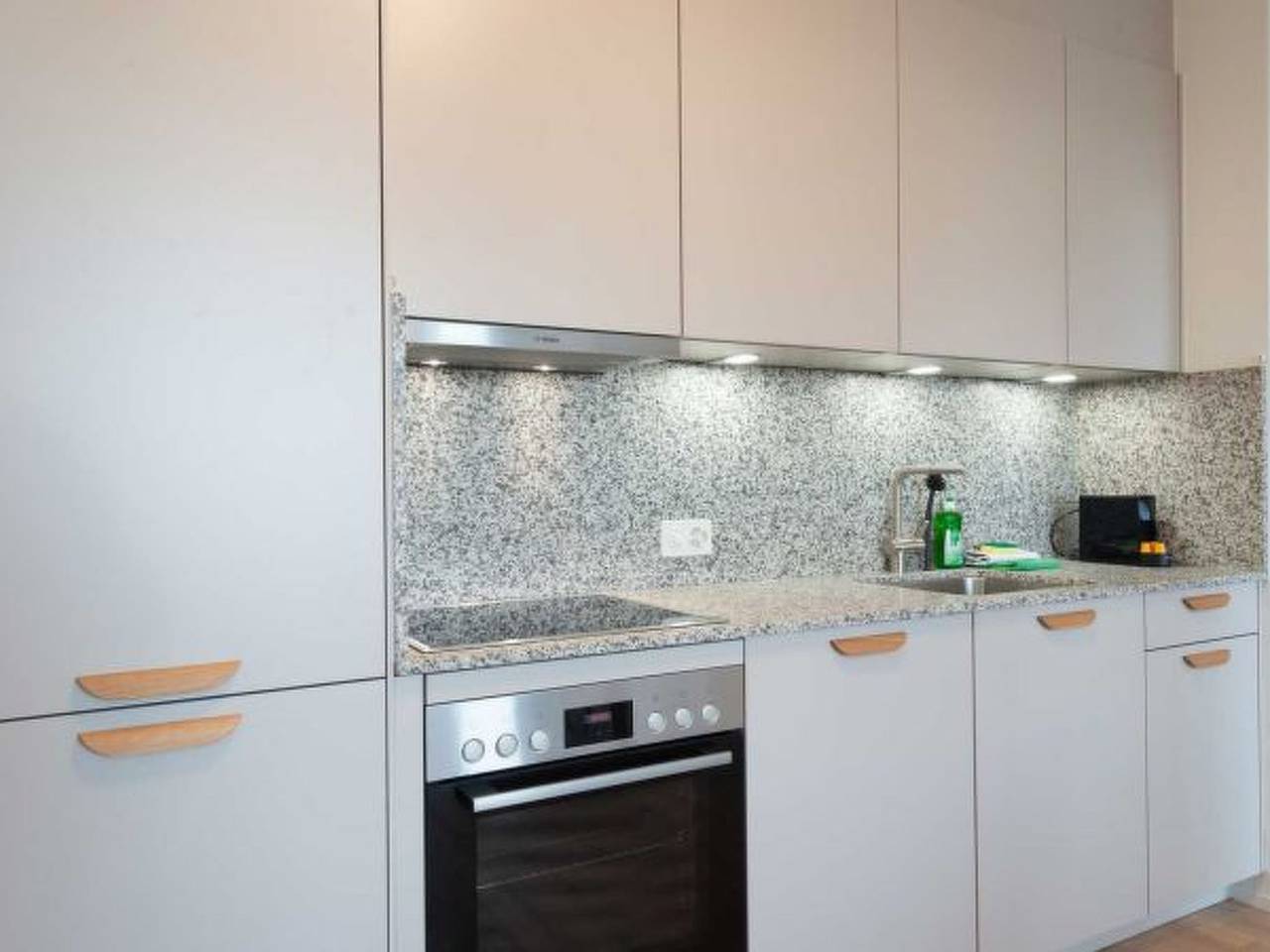 Appartamento intero, Appartamento vacanze per 4 persone in Zurigo, Distretto di Zurigo