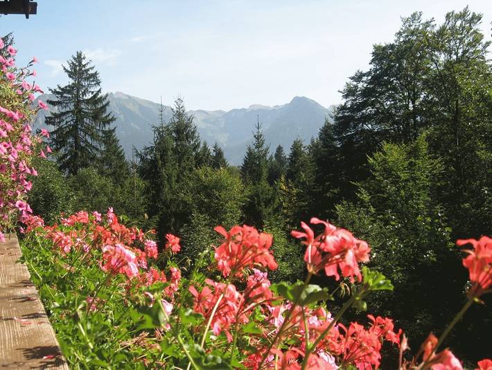 Ganze Wohnung, Alpenrose in Oberstdorf, Bayerisch Schwaben