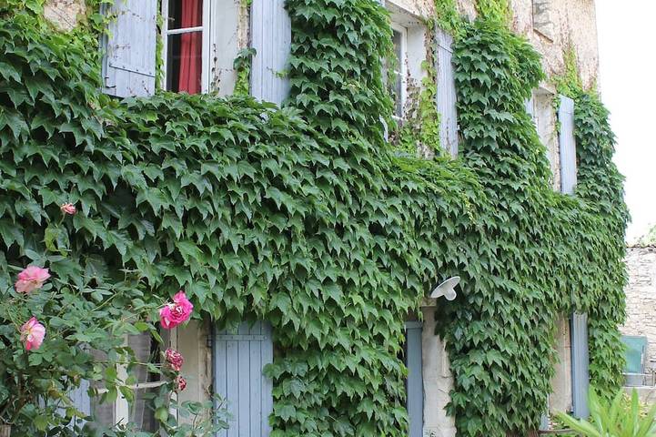 Location de vacances pour 4 personnes, avec piscine ainsi que jardin et terrasse à Saint-Didier - 4