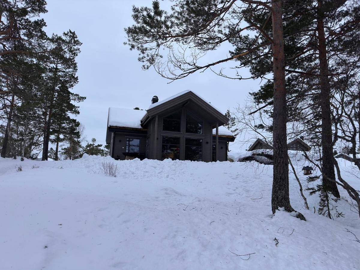 Moderne fjellhytte Gautefall, Norge in Gautefall, Drangedal