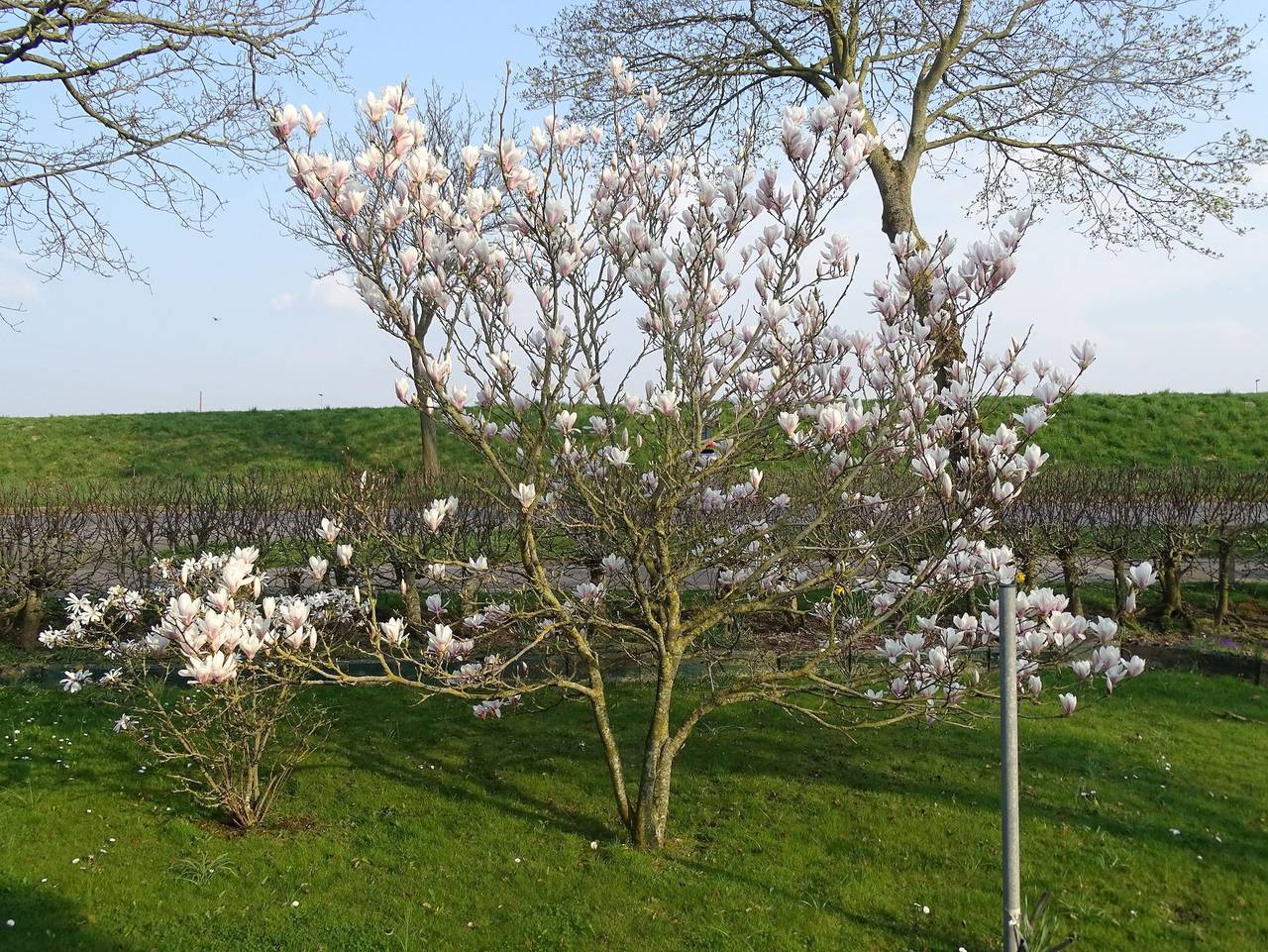 Ganze Ferienwohnung, Ferienwohnung Regentrude in Dieksanderkoog, Friedrichskoog