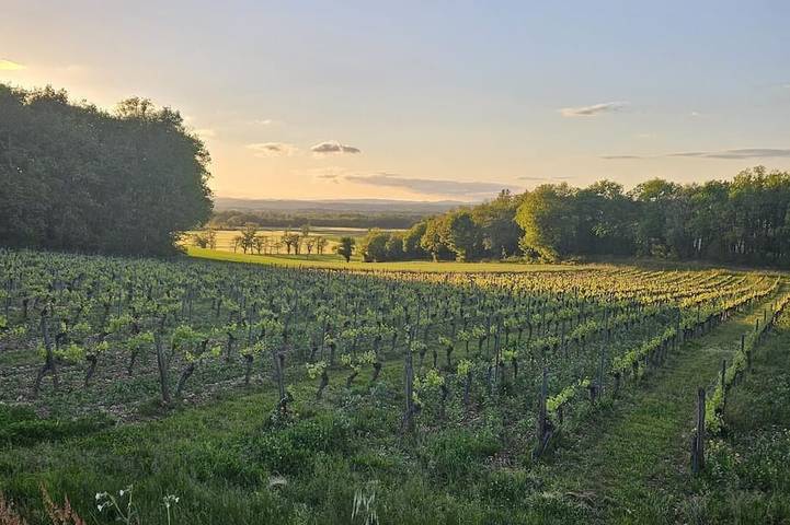 Agriturismo pour 6 personnes, avec jardin