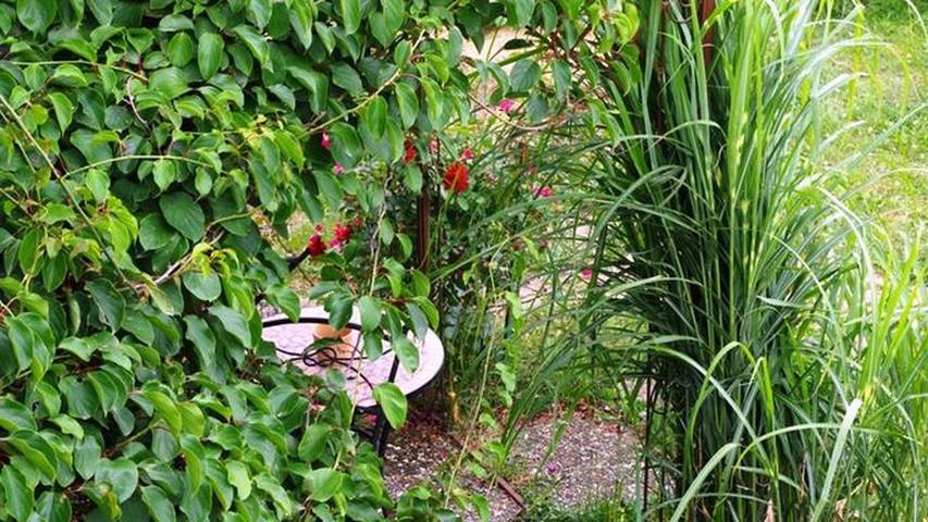 Ferienwohnung für 3 Personen, mit Garten in Michelstadt - 4