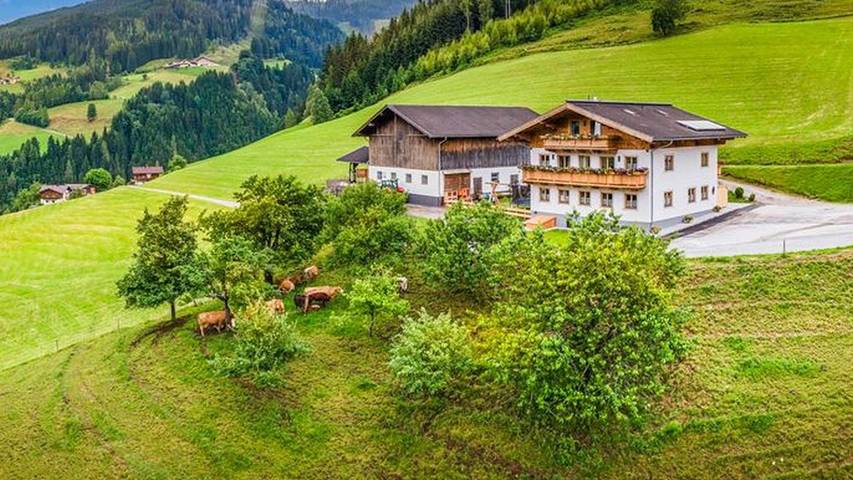 Hütte für 2 Personen, mit Terrasse und Garten in Mühlbach am Hochkönig