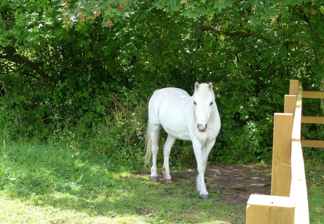 Pembroke Retreat no.2 in Pembroke, Pembrokeshire