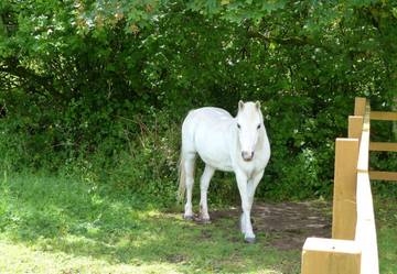 Holiday Rental for 6 People in Pembroke, Pembrokeshire, Photo 3
