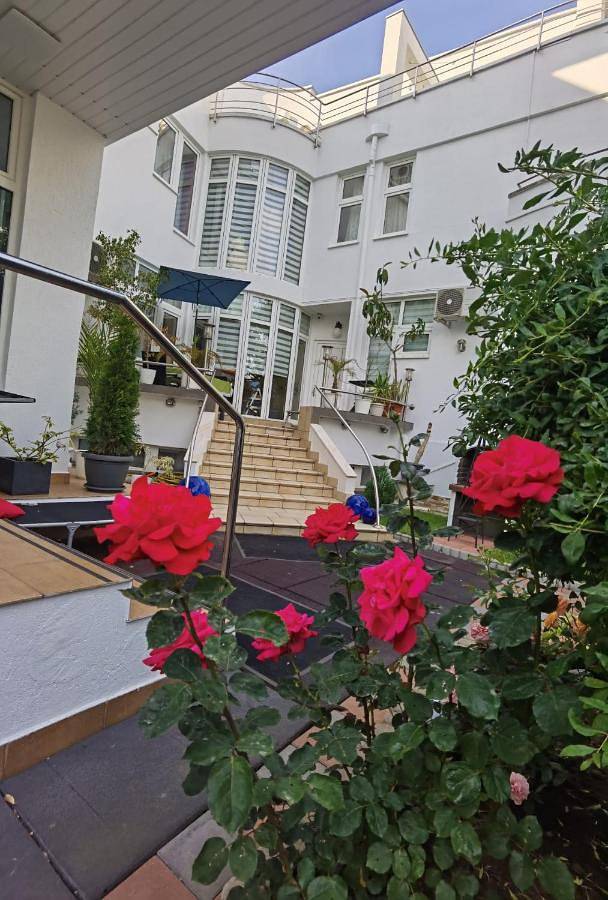 Maison d’hôte pour 3 personnes, avec sauna ainsi que jardin et vue, animaux acceptés dans Constanța - 2