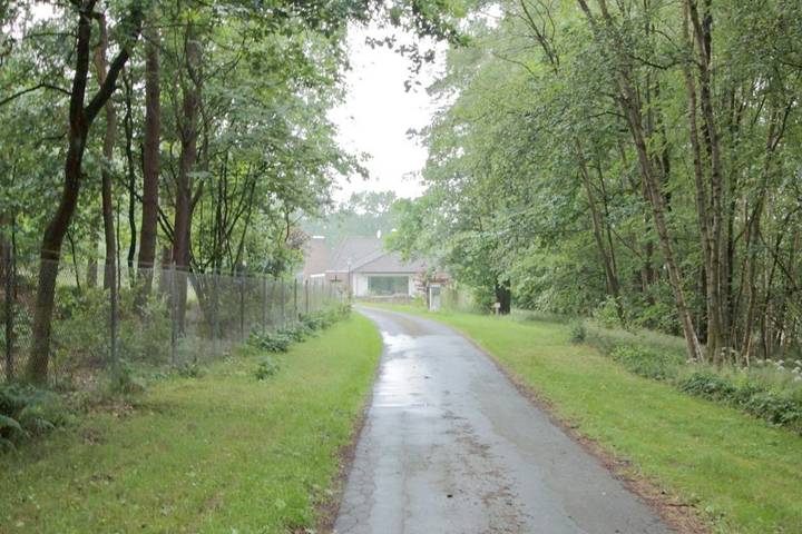 Ferienhaus für 12 Personen, mit Ausblick und Kinderpool sowie Garten, mit Haustier in der Lüneburger Heide - 2