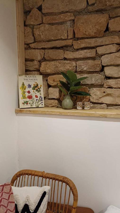 Chambre d’hôte pour 2 personnes, avec vue et jardin à Saint-Antonin-Noble-Val - 2