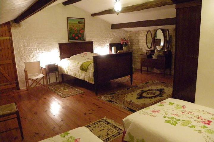 Gîte pour 11 personnes, avec jardin et piscine à Sainte-Gemme-la-Plaine - 4