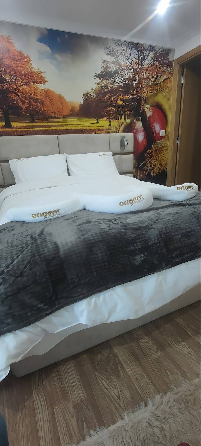 Vakantiehuis 'Origens' met Wi-Fi en airconditioning, foto 10