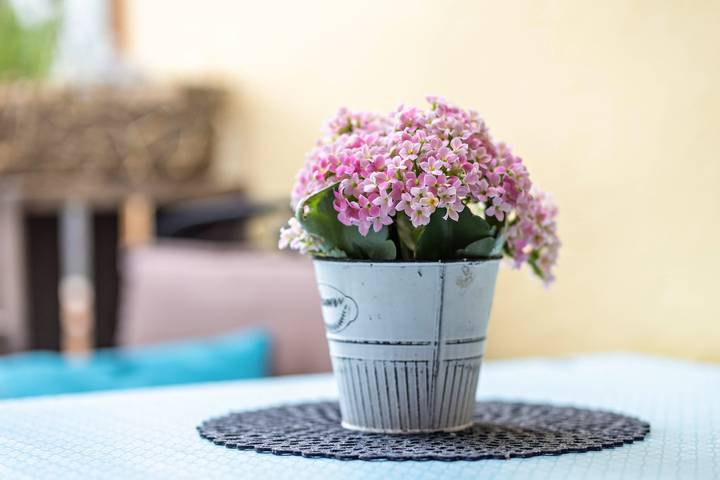 Entire apartment, Holiday Apartment '1 Zimmer' with Private Terrace and Wi-Fi in Lohfelden, Landkreis Kassel
