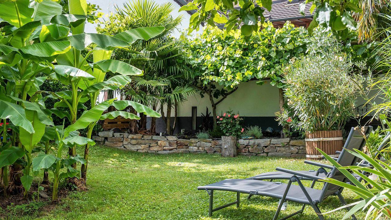 Doppelzimmer für 2 Personen in Ihringen in Ihringen, Kaiserstuhl