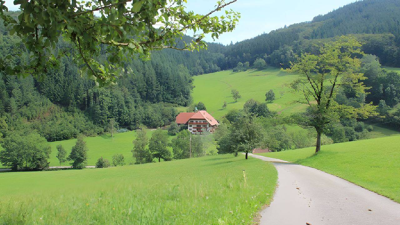Ganze Ferienwohnung, Ferienwohnung für 6 Personen (90 m²) in Mühlenbach in Mühlenbach, Mittlerer Schwarzwald