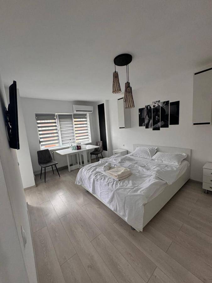 Gîte pour 3 personnes, avec vue, animaux acceptés dans Baia Mare - 3