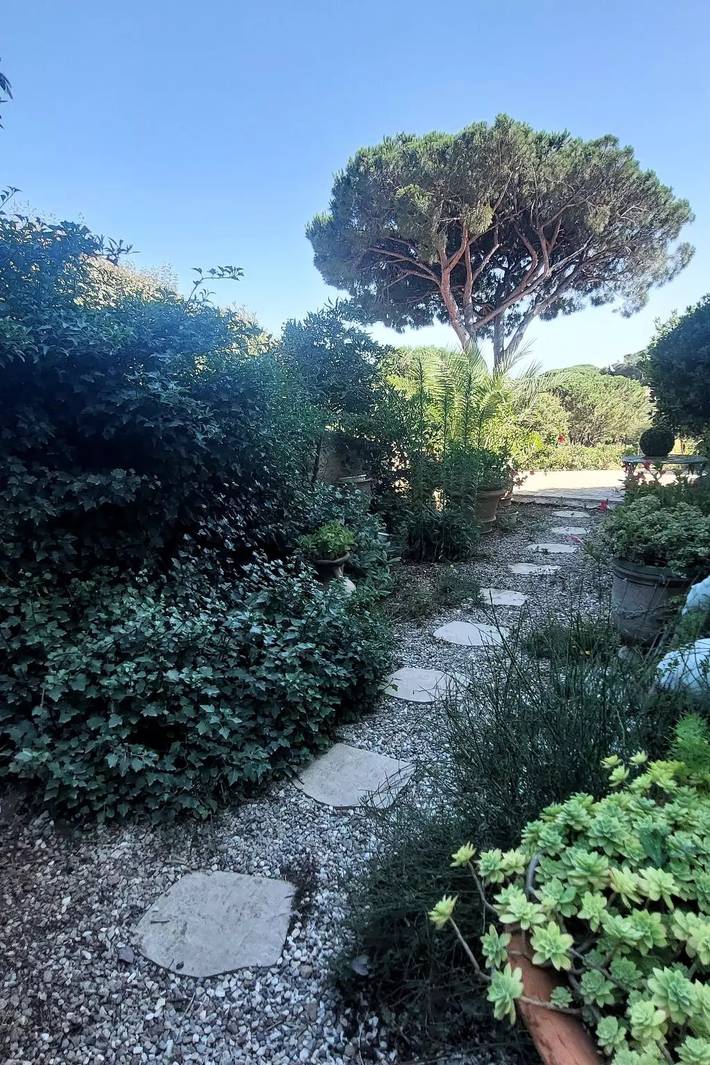 Villa für 6 Personen, mit Terrasse in Sainte-Maxime - 4