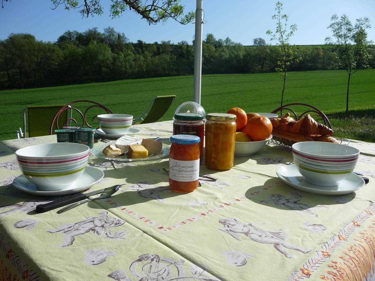 Les Amourens : Le grand Rosier in Castelnau-de-Lévis, Région d'Albi
