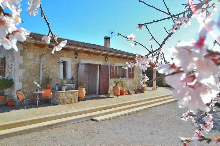 078 Finca Sa Rota Vt/1953 by Mallorca Charme in Ariany, Majorca Center