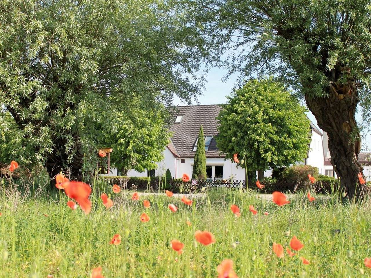 Pension Jägerrast Boek Objekt-Id 121144 - Doppelzimmer Objekt-Id 121144* in Boek, Rechlin
