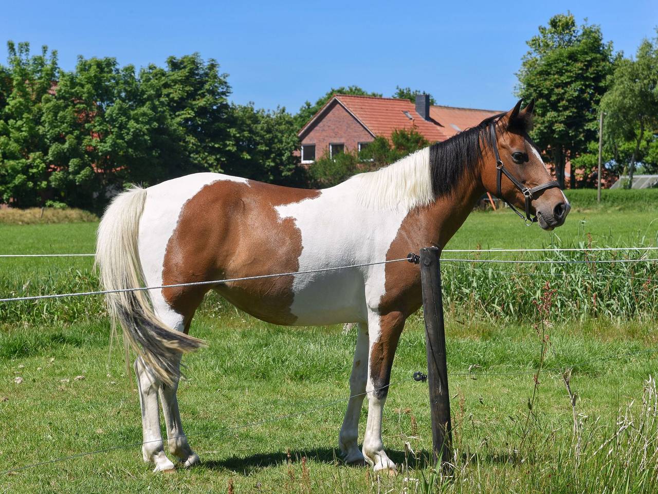 Ganze Ferienwohnung, Ferienhof Gerdes in Utgast - Ferienwohnung Wattwurm in Holtgast, Landkreis Wittmund