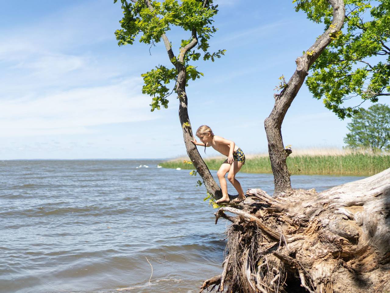 Hafenflair in Altwarp, Vorpommern Greifswald