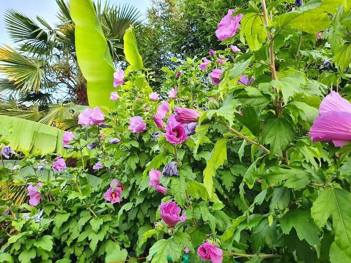 Gîte pour 10 personnes, avec vue et jardin, adapté aux familles dans Parc des Expositions de Villepinte - 4