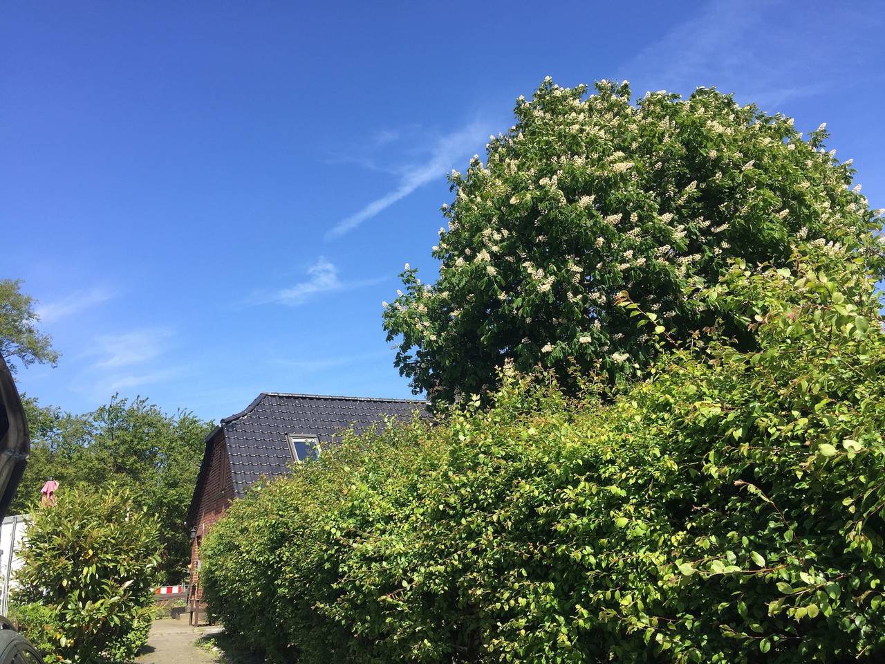 Ferienhaus 'Lotsenhaus'  Fehmarnsund - mit Garten in Fehmarnsund, Fehmarn