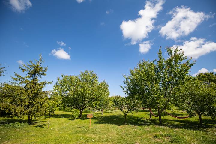 Countryside Home 40 in Osijek-Baranja